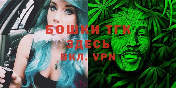 PSILOCYBIN Алзамай