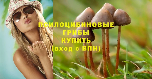 mdpv Козловка