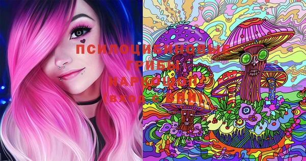 PSILOCYBIN Алзамай