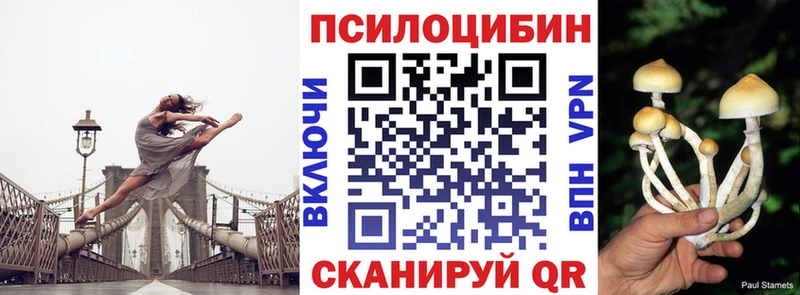 дарнет шоп  Ярцево  Псилоцибиновые грибы Cubensis 